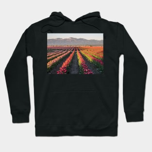 Tulips Paradise Hoodie